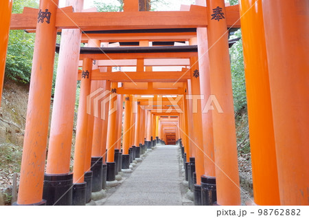 千本鳥居の風景_伏見稲荷大社 千本鳥居の風景_伏見稲荷大社 98762882