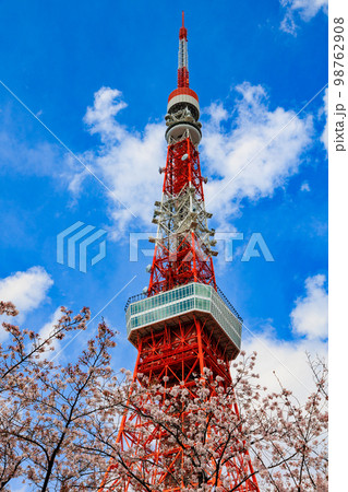 東京 港区 東京タワーと満開の桜 東京 港区 東京タワーと満開の桜 98762908