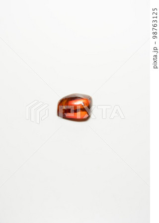 太古の虫入り琥珀 98763125