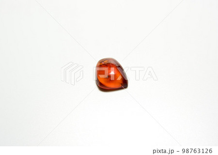 太古の虫入り琥珀 98763126