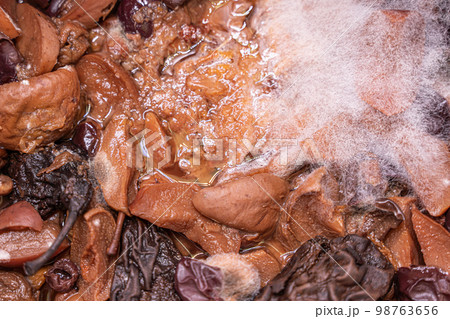 mold on compote, bacteria and moss 98763656