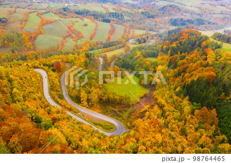 Aerial view of the autumn forest and road between the hills. Aerial view of the autumn forest and road between the hills. 98764465