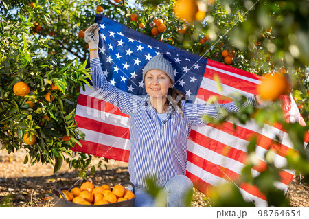 Joyful middle-aged woman waving American flag while sitting near basket with tangerines in orchard 98764654