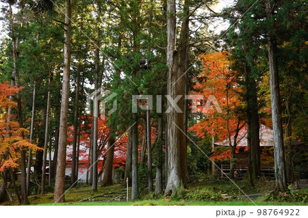 世界遺産中尊寺 98764922