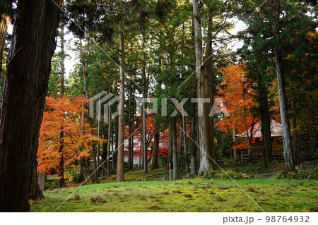 世界遺産中尊寺 98764932