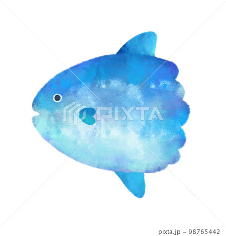水彩風の海の生き物　マンボウ 98765442