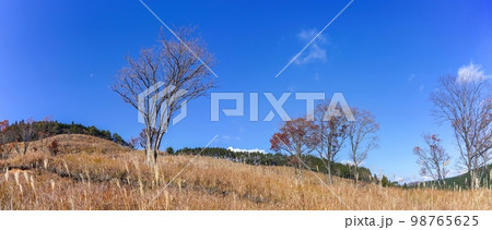 青空バックに見る砥峰高原の秋のパノラマ情景@兵庫 青空バックに見る砥峰高原の秋のパノラマ情景@兵庫 98765625