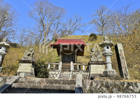ローバイの花咲く茂木町の城山公園とたばこ神社 ローバイの花咲く茂木町の城山公園とたばこ神社 98766755