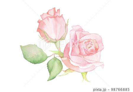 バラの水彩イラスト　バラの花　花束　ローズ 98766885