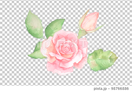 バラの水彩イラスト　バラの花　花束　ローズ 98766886