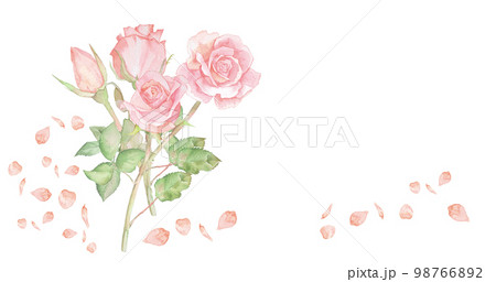 バラの水彩イラスト　バラの花　花束　ローズ　壁紙 98766892