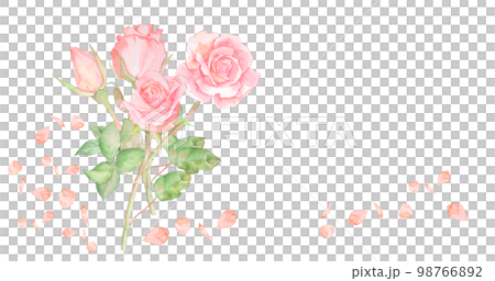 Rose watercolor illustration rose flower bouquet rose wallpaper 98766892