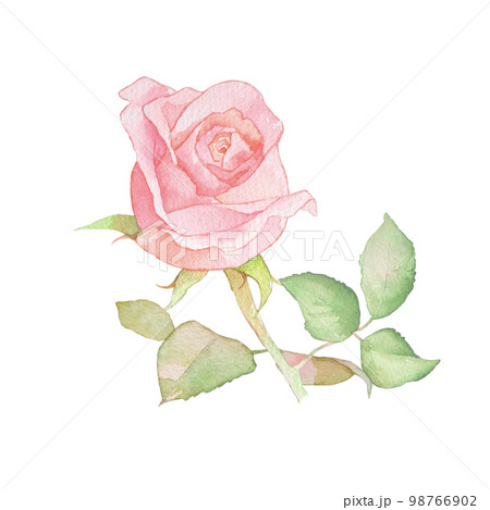 バラの水彩イラスト　バラの花　花束　ローズ 98766902