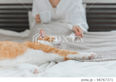 猫じゃらしを使って愛猫と遊ぶ飼い主のアジア人女性(眠い・寝る) 98767371