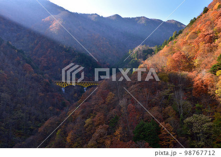 豆焼橋からの紅葉 豆焼橋からの紅葉 98767712