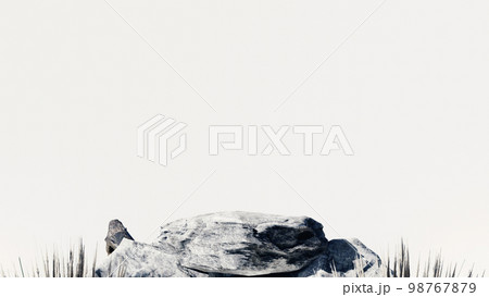 3d stone podium background products display mockup 3d render. scene on white floor, leaf, rock, and white background podium shape nature. stand show cosmetic product. Stage showcase on pedestal. 98767879