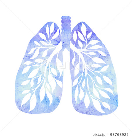 Anatomical blue watercolor illustration of healthy human lungs with tree branch isolated from background. Vector human body organ. 98768925