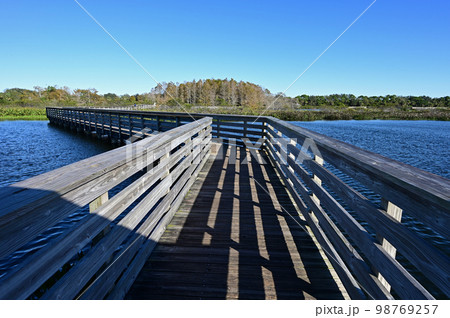 Elevated boardwalk at Green Cay Nature Center Wetlands in Boynton Beach. Elevated boardwalk at Green Cay Nature Center Wetlands in Boynton Beach. 98769257