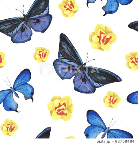 seamless pattern Blue and violet butterfly with daffodils isolated on white. Watercolor illustration for design fabrics 98769494