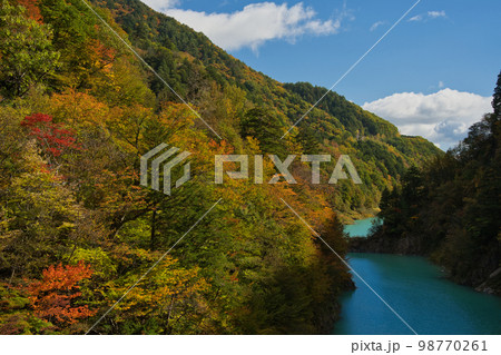 北葛沢の紅葉と渓谷 98770261