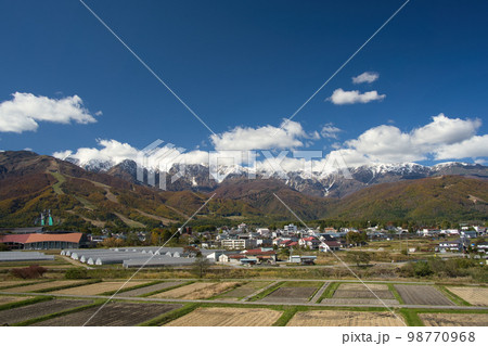 白馬村の秋の風景 白馬村の秋の風景 98770968
