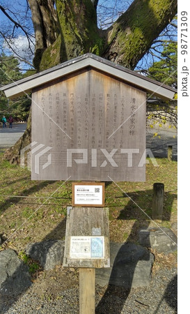 京都御苑の清水谷家の椋の説明看板 京都御苑の清水谷家の椋の説明看板 98771309