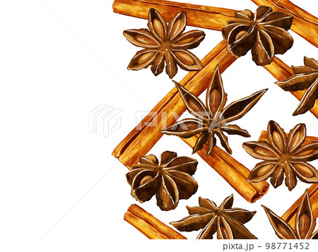 手描き水彩のシナモンと八角イラスト長方形フレーム・右 98771452