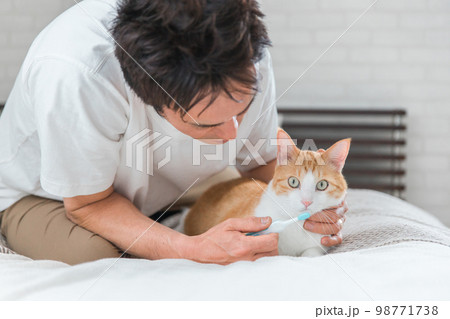 猫の歯磨き・デンタルケア・口臭ケアをする飼い主の男性 98771738