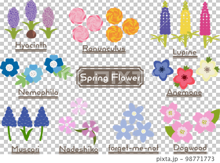 春天的花朵插圖集 春天的花朵插圖集 98771773