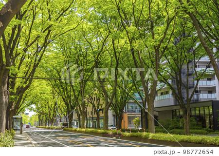 新緑の杜の都　仙台 98772654
