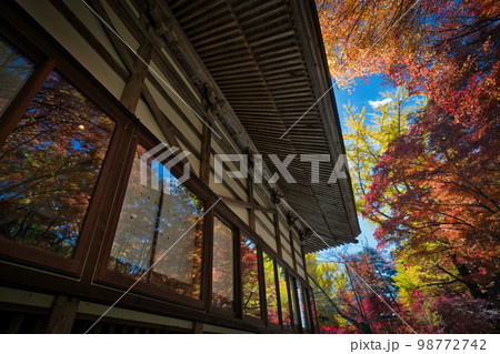 霊松寺に写りこんだ紅葉 98772742