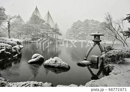 雪が舞う冬の兼六園 雪が舞う冬の兼六園 98772871