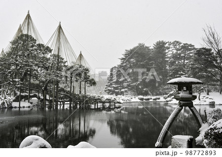 雪が舞う冬の兼六園 雪が舞う冬の兼六園 98772893