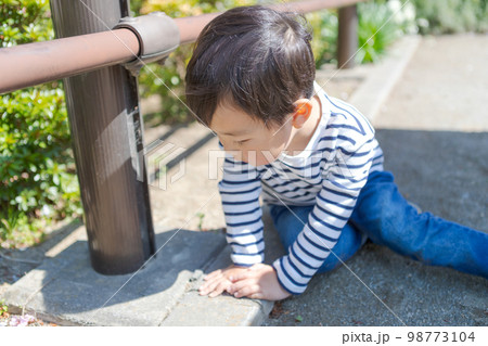 3 years old 3 years old 98773104