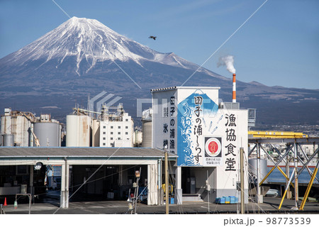 田子の浦漁港 98773539