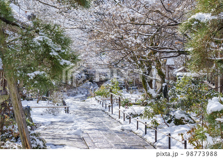 常寂光寺　境内　残雪の朝（京都府京都市右京区嵯峨小倉山小倉町） 98773988