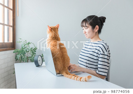 在宅勤務の仕事の邪魔をする猫とテレワークする女性(ネコハラ) 98774056