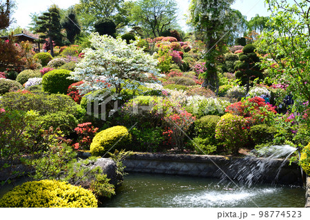 大桑原(おおかんばら)つつじ園へ行きました #8 大桑原(おおかんばら)つつじ園へ行きました #8 98774523