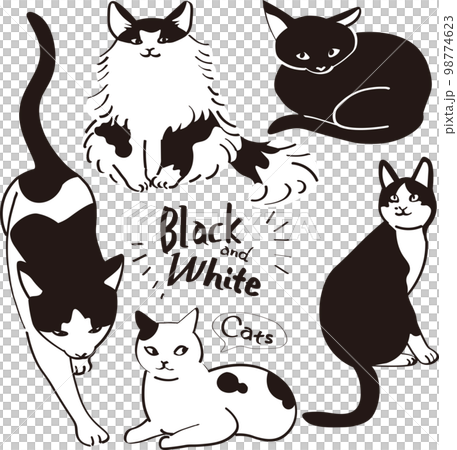 黑白貓插畫合集 98774623