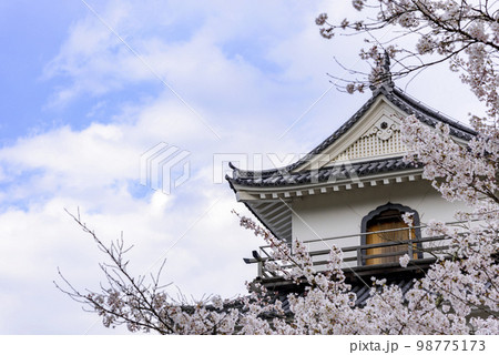 白石城と桜 白石城と桜 98775173
