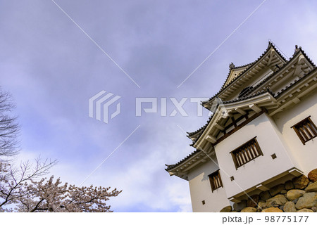 白石城と桜 白石城と桜 98775177