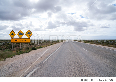 ナラボー平原の直線道路と野生動物注意の看板 ナラボー平原の直線道路と野生動物注意の看板 98776150