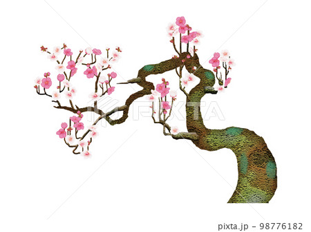 梅の木イラスト 98776182