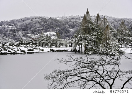 雪景色が美しい冬の兼六園 雪景色が美しい冬の兼六園 98776571