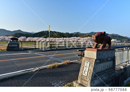 春の丹波篠山 春の丹波篠山 98777088