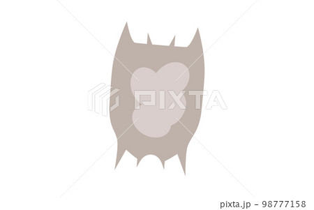 プランクトン・ツボワムシ 98777158