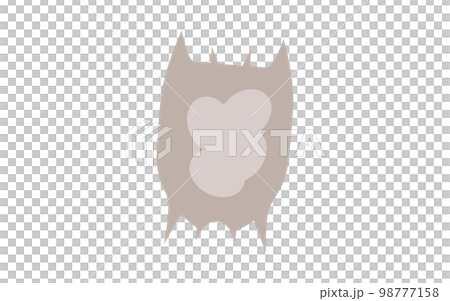 プランクトン・ツボワムシ 98777158