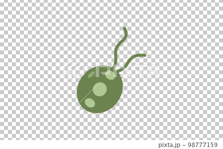 浮游生物衣藻 98777159