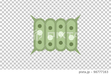 plankton squid 98777163