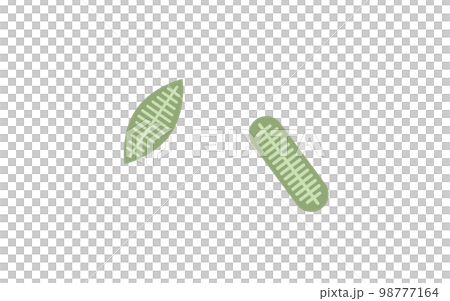 plankton diatom 98777164